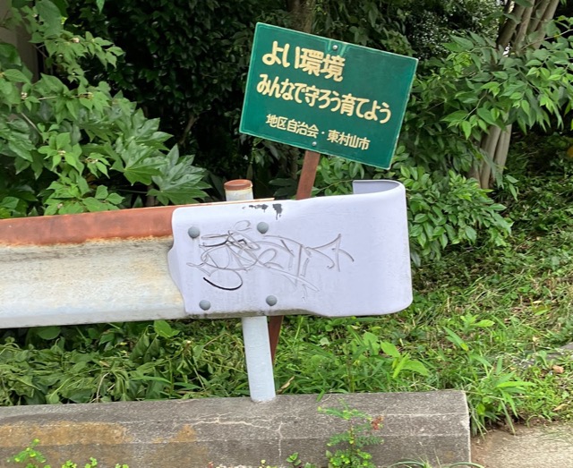 Before image